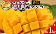 【 先行予約 2027年発送 】秀品 1kg 沖縄県産 マンゴー 1キロ 国産 完熟マンゴー 果物 南国 くだもの フルーツ 完熟 夏 旬 特産品 沖縄 取り寄せ 産地直送 農家直送 甘い 濃厚 うるま市 マンゴラン