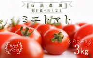 毎日食べたい石黒さんちの ミニトマト たっぷり 3kg 岡山県 瀬戸内市産 石黒農園【配達不可：離島】