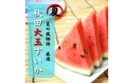 すいか 秋田県産 大玉スイカ 夏丸 家庭 ギフト 旬 夏 贈答 1玉 風物詩【BARU バイオジャパン吉村株式会社】[B4-9906]