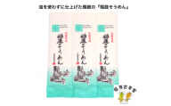 稲庭古来そうめん お徳用袋入り１６０ｇ×３袋【(有)稲庭古来堂】[A1405]