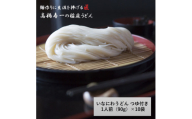 いなにわうどん 90g つゆ付き(1人前)×10個【(一社)湯沢市観光物産協会】[M7501]