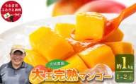宮城農園の完熟マンゴー　約1kg（1~2玉）【 先行予約 2027年発送 】