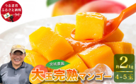 宮城農園の完熟マンゴー　約2kg（4~5玉）【 先行予約 2027年発送 】