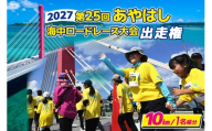 第25回あやはし海中ロードレース大会2027　出走権（10km１名様分）