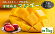 ハナトフルーツ 沖縄県産マンゴーA品 １ｋｇ  【 先行予約 2027年発送 】