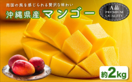 ハナトフルーツ 沖縄県産マンゴーA品 ２ｋｇ  【 先行予約 2027年発送 】