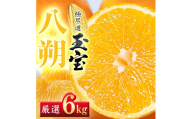 【先行受付】【凛とした苦み】クセになる旨み【八朔】6kg　愛媛県産【64-101】【1751166】ふるさと納税 果物 くだもの はっさく 八朔 みかん ミカン 蜜柑 柑橘 フルーツ 選べる 3.5kg 6kg 12kg 内容量 期間限定 季節限定 特産品 YWTY091