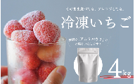 【先行予約 2027年出荷】冷凍 いちご 4kg こだわり いちご フローズン 冷凍 イチゴ strawberry 苺 新鮮 朝摘み 朝採り 産直 産地直送 安心安全 ichigo itigo いちご 苺 果物 フルーツ くだもの ギフト プレゼント 贈物 贈答 ケーキ ジャム ふるさと納税 ふるさと納税苺 いちご 静岡県 南伊豆町  みなみのいちご園 　<AA-28>