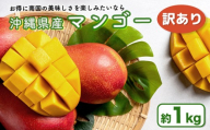 ハナトフルーツ 沖縄県産 訳ありマンゴー1ｋｇ 【 先行予約 2027年発送 】