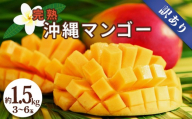 沖縄県産 訳ありマンゴー 1.5kg【 先行予約 2027年発送 】マンゴー 濃厚 甘い ジューシー 南国 フルーツ 果物 産地直送 訳あり 国産 お取り寄せ 沖縄 うるま市
