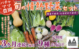 食べごろの旬のお野菜を発送当日に土付き又は軽く洗い発送します。スタンダードのお野菜やスーパーなどであまり見かけないお野菜などを組み合わせでのセットで、簡単な調理法、野菜の特長などの案内も添えています。
