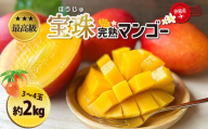 最高級マンゴー　宝珠２kg【熱帯資源植物研究所】