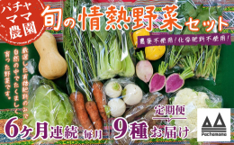 食べごろの旬のお野菜を発送当日に土付き又は軽く洗い発送します。スタンダードのお野菜やスーパーなどであまり見かけないお野菜などを組み合わせでのセットで、簡単な調理法、野菜の特長などの案内も添えています。