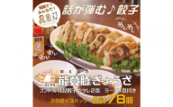 【子供も食べやすい】能登豚を使用したやみつき餃子 78個 餃子のコンドル特性タレ2本とラー油1本付 金沢市 餃子 餃子のコンドル 自家製餃子 能登豚 加工食品 おつまみ おかず 石川 金沢 北陸 復興支援 復興応援