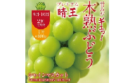 【2回定期便】木熟ぶどう ハレノシャイン シャインマスカット プレミアム  晴王 １房( 800g以上)2回お届け | シャインマスカット 晴王 ハレノシャイン 木熟ぶどう プレミアム 800g以上 1房 岡山県産 ぶどう 葡萄 大房 高糖度 甘い 種なし 皮ごと食べられる フルーツ 果物 人気 産地直送