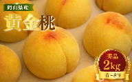 【先行受付】黄桃2kg | 岡山県産 黄金桃 桃 フルーツ 果物 高級フルーツ 岡山 桃 お取り寄せ 産地直送 希少品種 国産フルーツ 黄金桃 人気 数量限定 旬の果物 甘い ジューシー 芳醇 みずみずしい 夏の味覚 先行予約