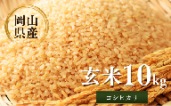 先行予約 令和8年産 新米 岡山県産米10㎏(コシヒカリ) | 岡山県産米 10kg コシヒカリ お米 玄米 国産米 ごはん 米 人気品種  10キロ 産地直送 家庭用 お取り寄せ