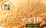 先行予約 令和8年産 新米 岡山県産米10㎏(あきたこまち）| 岡山県産米 10kg あきたこまち お米 玄米 国産米 ごはん 米 人気品種  10キロ 産地直送 家庭用 お取り寄せ