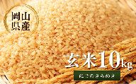 先行予約 令和8年産 新米 岡山県産米10㎏(にじのきらめき）| 岡山県産米 10kg にじのきらめき お米 玄米 国産米 ごはん 米 人気品種  10キロ 産地直送 家庭用 お取り寄せ