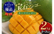 ぼうけんの国 宝石マンゴー 【優品】キーツマンゴー サファイアclass 約2kg 国産 キーツ マンゴー 優品 果物 南国 くだもの フルーツ 完熟 夏 旬 特産品 取り寄せ 産地直送 農家直送 甘い 濃厚 沖縄 うるま市 ku01-013