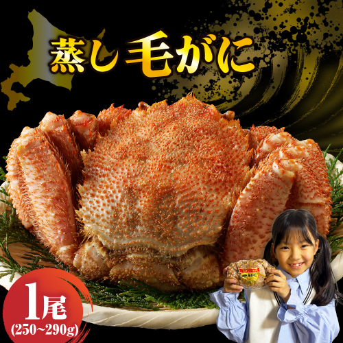 北海道産活蒸し毛蟹約250g～約290g×1尾【er001-107-a】 2732289 - 北海道えりも町