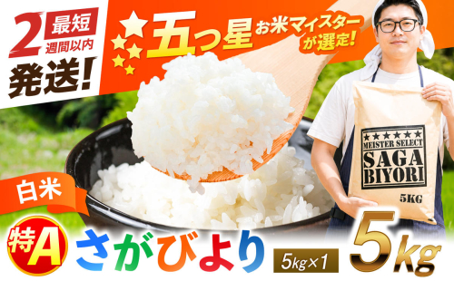 五つ星お米マイスター厳選！さがびより 白米 5kg 吉野ヶ里町/大塚米穀店 [FCW045] 2732299 - 佐賀県吉野ヶ里町