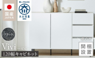 【開梱設置】キャビネット 【ビビ120】 ブラック _ 開梱設置 キャビネット ビビ 幅120 自社製造 開き扉 ソフトクローズ フラットデザイン 脚付き スチール製 掃除簡単 木目調 インテリア 家具 福岡県 久留米市 送料無料 _ Qd172-02