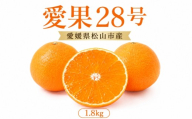 [2026年11月下旬頃より順次発送]約1.8kg 愛果28号 8〜10個 | みかん 紅まどんなと同品種 家庭用 愛媛果試28号 松山 ミカン mikan フルーツ 果物 くだもの あいか 農家直送 1.8キロ 数量限定 期間限定 柑橘 愛媛県 松山