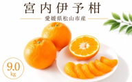 【2027年2月上旬より順次発送】伊予柑 約9.0kg  家庭用 愛媛県産 みかん | いよかん ミカン フルーツ 果物 くだもの 農家直送  愛媛県 松山市産