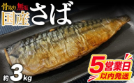 【5営業日以内発送】 訳あり 鯖 サバ 約 3kg 国産 訳アリ わけあり 切り身 冷凍 大容量 切身 家庭用 おかず おつまみ 惣菜 弁当 不揃い 規格外 小分け 送料無料 下関 山口