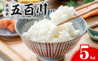 【令和8年産 新米】＜先行予約受付中！R8年9月上旬から順次発送予定＞ 五百川 5kg お米 おこめ 米 コメ 白米 早場米 極早生品種 ご飯 ごはん おにぎり お弁当【赤間農業開発株式会社】ta719
