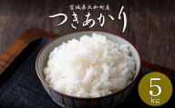 【令和8年産 新米】＜先行予約受付中！R8年9月下旬から順次発送予定＞ つきあかり 5kg お米 おこめ 米 コメ 白米 ご飯 ごはん おにぎり お弁当【赤間農業開発株式会社】ta720