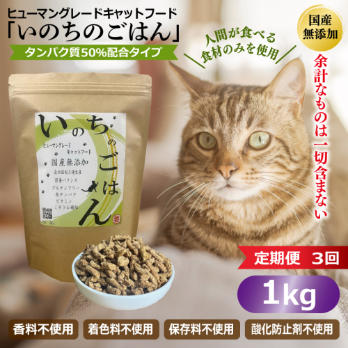 【定期便】国産無添加 キャットフード 1kg×全3回 「いのちのごはん」タンパク質 50％配合タイプ【猫 ねこ ペットフード チキン 手作り ヒューマングレード 国産】 099Z636 2732428 - 大阪府泉佐野市