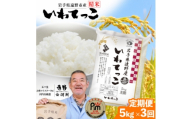 ＜毎月定期便＞岩手県 遠野産 いわてっこ 精米 5kg 河判全3回【4089948】