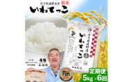 ＜毎月定期便＞岩手県 遠野産 いわてっこ 精米 5kg 河判全6回【4089949】