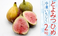 2J8【福岡県産】冷凍とよみつひめ（イチジク）　2ｋｇ（1kg×2）