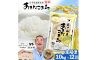 ＜毎月定期便＞岩手県 遠野産 あきたこまち 精米 10kg 河判全12回【4089972】