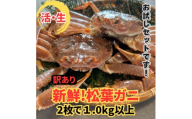 ＜さかなや新鮮組＞鳥取県産 訳あり 活松葉ガニ1.0kgセット ご家庭用 漁港直送【1759402】