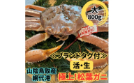 ＜さかなや新鮮組＞鳥取県産 ブランドタグ付き 活松葉ガニ(大)800g以上 1枚 漁港直送【1759414】