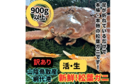 ＜さかなや新鮮組＞鳥取県産 訳あり 活松葉ガニ(900g以上) 1枚 漁港直送【1759523】