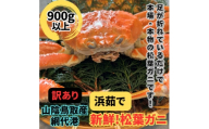 ＜さかなや新鮮組＞鳥取県産 訳あり 浜茹で松葉ガニ(900g以上) 1枚 漁港直送【1759529】