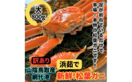 ＜さかなや新鮮組＞鳥取県産 訳あり 浜茹で松葉ガニ(大)800g以上 1枚 漁港直送【1759535】