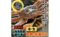 ＜さかなや新鮮組＞鳥取県産 訳あり 活松葉ガニ(中)700g以上 1枚 漁港直送【1759545】