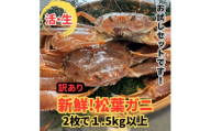 ＜さかなや新鮮組＞鳥取県産 訳あり 活 松葉ガニ1.5kgセット ご家庭用 漁港直送【1759551】