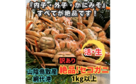 ＜さかなや新鮮組＞鳥取県産 訳あり 活 絶品セコガニ1.0kgセット ご家庭用 漁港直送【1759642】