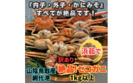 ＜さかなや新鮮組＞鳥取県産 訳あり 浜茹で 絶品セコガニ1.0kgセット ご家庭用 漁港直送【1759649】