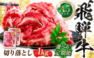 【12回定期便】飛騨牛 A5等級 切り落とし 1kg 牛肉 肉 お肉 カレー 炒め物 岐阜市 / 肉の松久 [ANIP026]