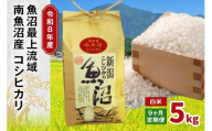 令和8年産 5kg 【9か月定期便】〈白米〉魚沼最上流域 南魚沼産 コシヒカリ 精米したてのお米をお届け 【湯沢産 コシヒカリ】