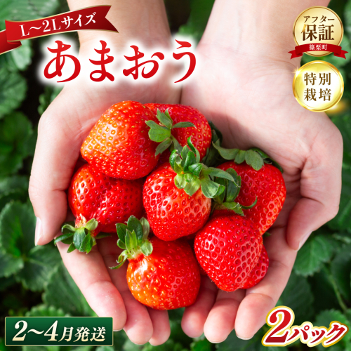 いちご 福岡県産 特別栽培 あまおう L～2Lサイズ（少し小ぶりサイズ）約570g（約285g×2パック）【2～4月発送】| 農園直送 アフター保証 先行予約 福岡産 送料無料 ケーキ ギフト お祝い 限定 季節限定 UN009 2732851 - 福岡県篠栗町