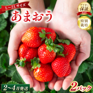 いちご 福岡県産 特別栽培 あまおう L～2Lサイズ（少し小ぶりサイズ）約570g（約285g×2パック）【2～4月発送】| 農園直送 アフター保証 先行予約 福岡産 送料無料 ケーキ ギフト お祝い 限定 季節限定 UN009